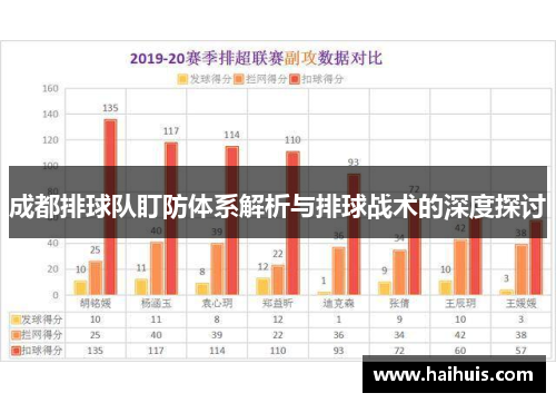 成都排球队盯防体系解析与排球战术的深度探讨