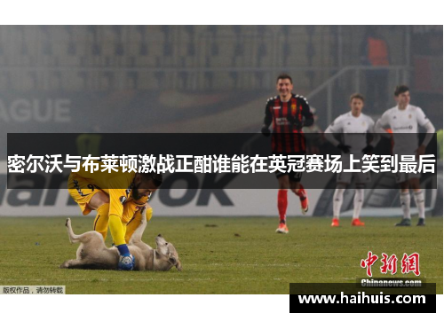 密尔沃与布莱顿激战正酣谁能在英冠赛场上笑到最后
